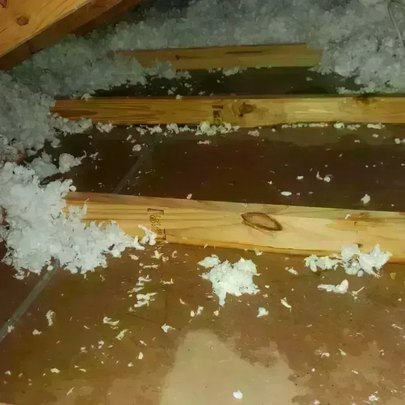 Attic Water Damage in Villa Grove, IL